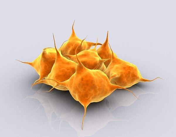 Conceptual image of a group of platelets