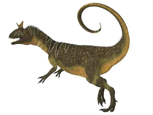Cryolophosaurus dinosaur, side view