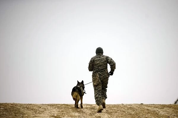 A dog handler and his military working dog take a brisk walk