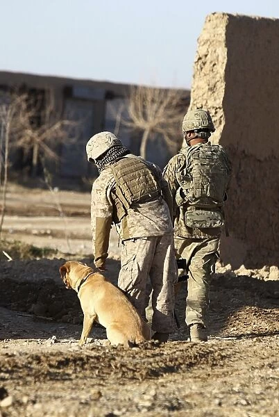 A dog handler takes care of his military working dog