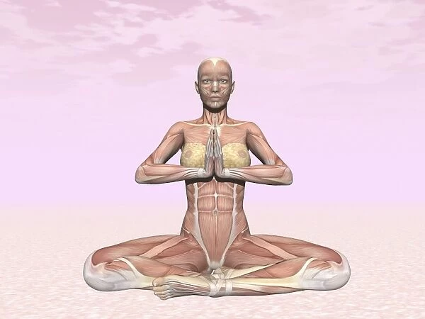 Female musculature performing meditation yoga pose
