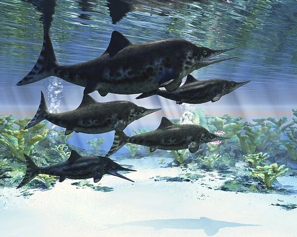 A group of Ichthyosaurs swimming in prehistoric waters