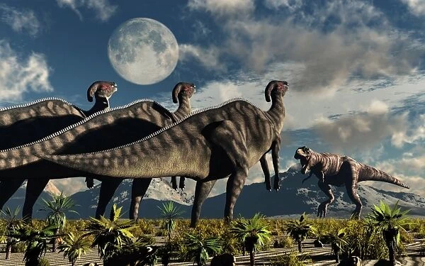 Hadrosaurid duckbill dinosaurs use soundwaves to defend a Tyrannosaurus Rex