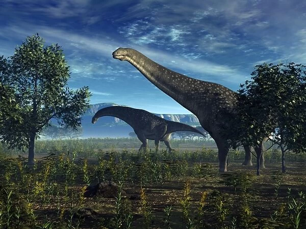 Isisaurus dinosaurs wander lush plains