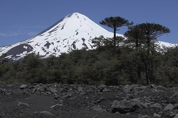 Llaima volcano, Araucania region, Chile