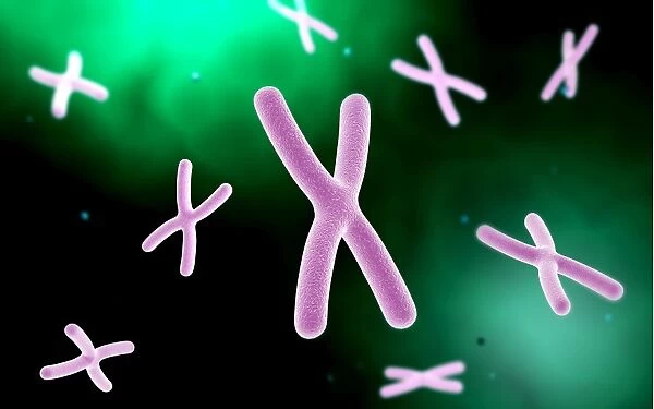 Microscopic view of chromosome