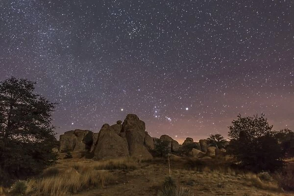 Orion rising at the City of Rocks State Park, New Mexico