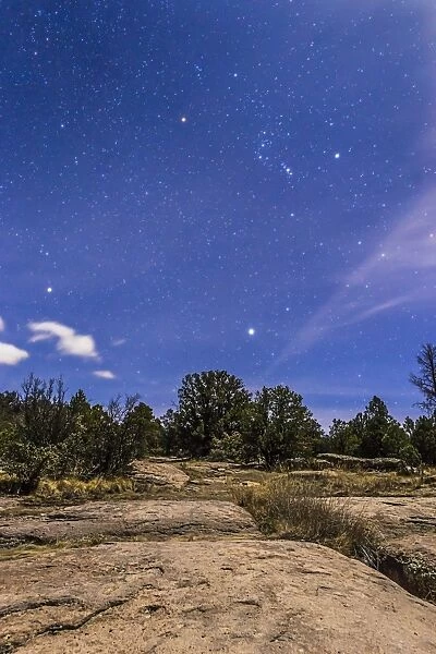 Orion and Sirius rising in the moonlight over Gila National Forest, New Mexico