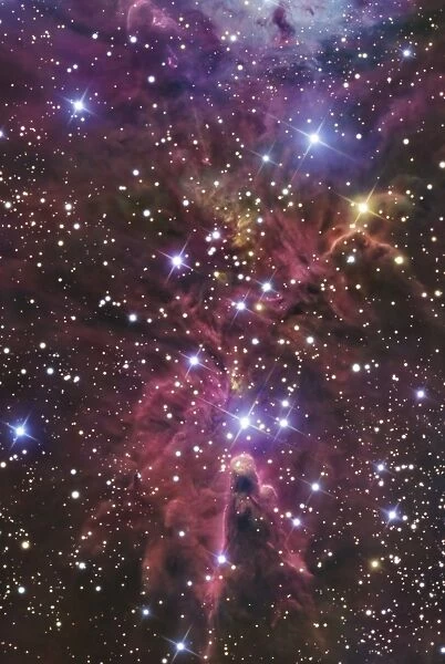 A stellar nursery located towards the constellation of Monoceros