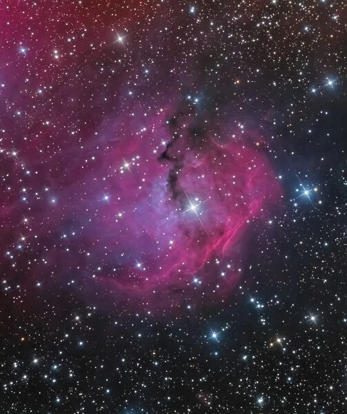 vdB 93 is an emission and reflection nebula in Canis Major
