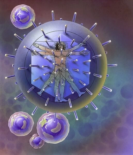 Vitruvian Man inside virus particle