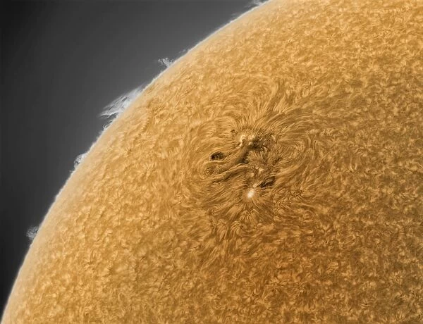Yellow Sun with solar prominences
