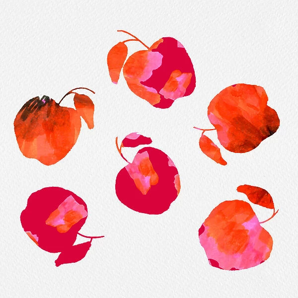 Apple Chiffon Pink Orange
