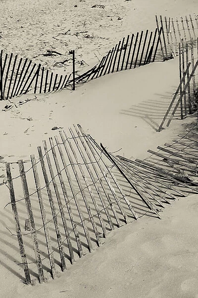 beach fence