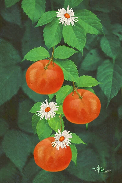 Branch of Mandarin Orange