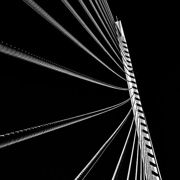 Calatrava Bridge 01