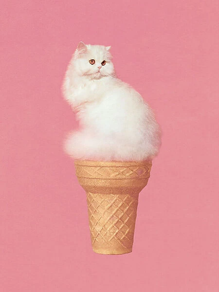 Cat Ice Cream - Pink