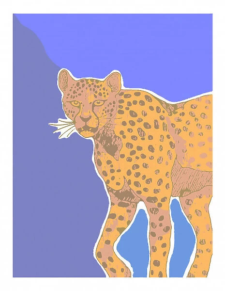 cheetah. Max Lundén