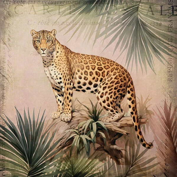 Cheetahs Tropical Jungle