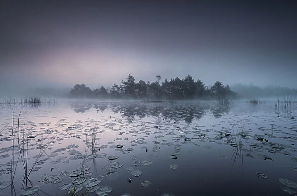 Dawn at lake Haketjärn