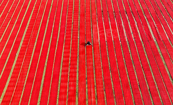 Drying red fabric