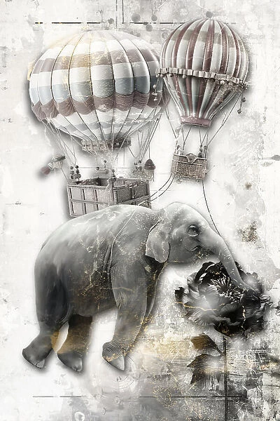 Elephantballon02