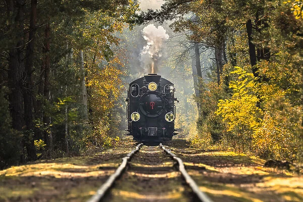 Fairytale Train