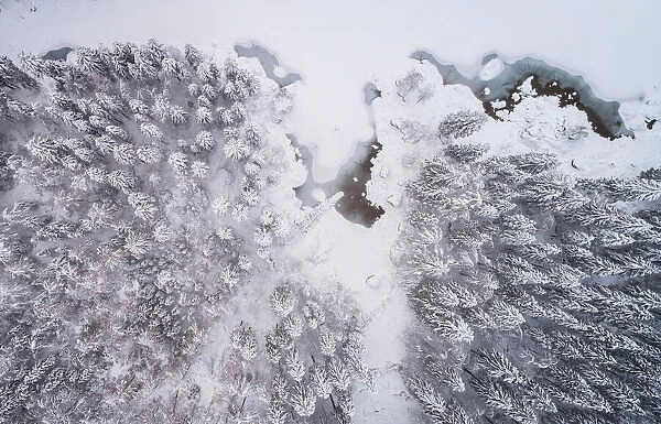Fallen. Aerial view of the lake and forest on a cold winter day. Ales Krivec