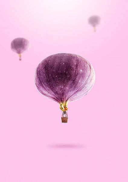 Figs Ballons