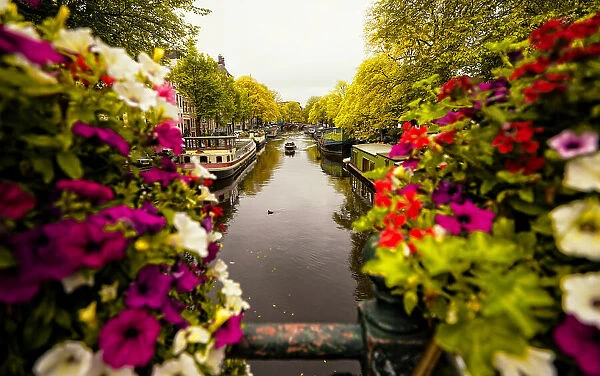 Floral in Amsterdam