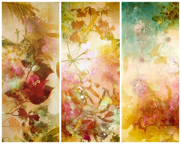 Flower abstractions with mimosa, shells, bougainvillea floating in water.. Trilogy