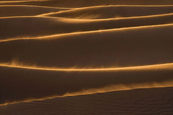 Golden Flare Sand Dunes