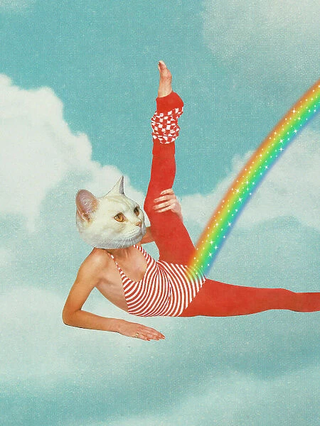Kitty Cats Rainbow Workout