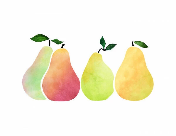 Pears. Kristian Gallagher
