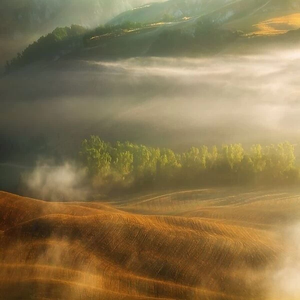 Mist. Krzysztof Browko