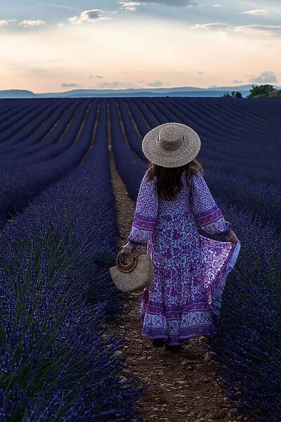 Lavender. Marco Galimberti