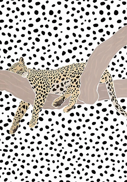 Leopard Sleeping Polkadots