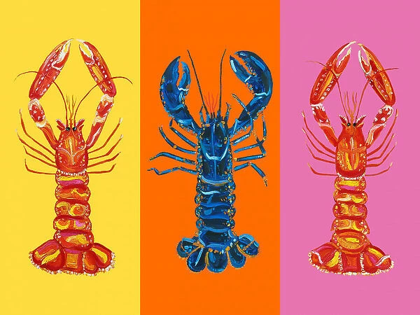 Lobster Langoustines Pop Art 3