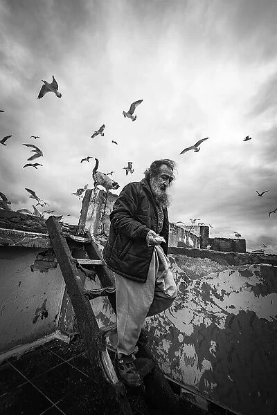 Man feeding seagulls