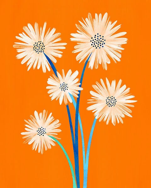 Moroccan Daisies 2