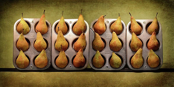 Twelve Pairs, Twenty-Four Pears