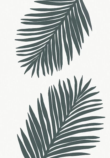 Palm Leaf Gray with tint of green 01