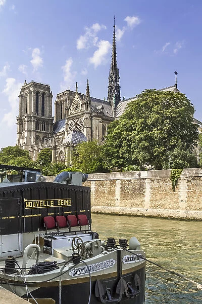 PARIS Cathedral Notre-Dame