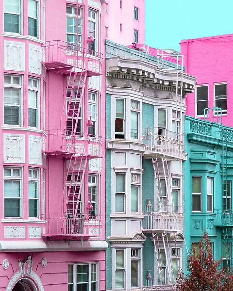 Pink and Blue Row Houses in San Francisco