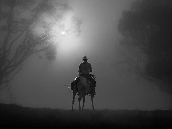 Riding in Dawn Mist