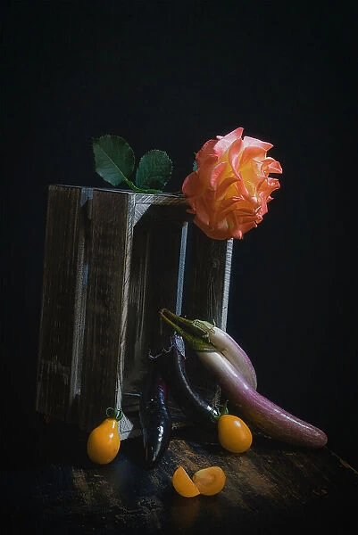 Rose and Eggplant