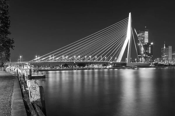 ROTTERDAM Erasmus Bridge with Willemskade by night | Monochrome