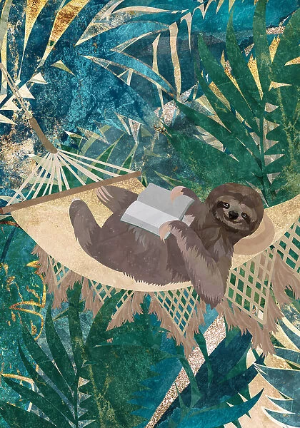 Sloth in the jungle