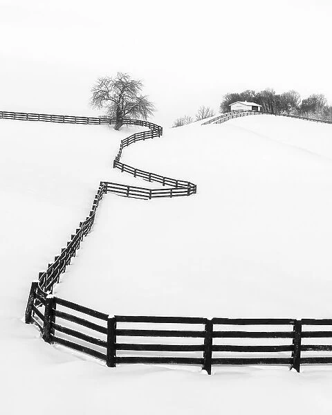 Snow-covered Horse Farm 4