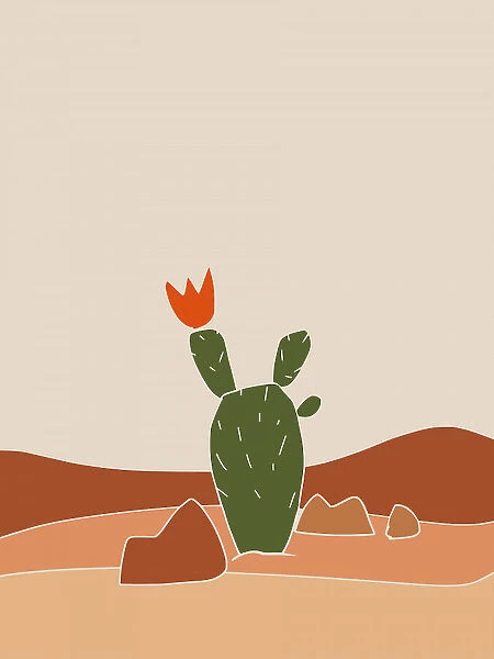 Southwest Cactus Bloom